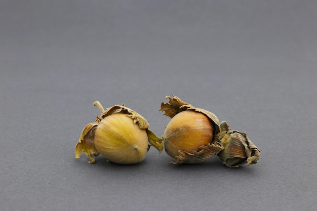 A pair of onion on a black background