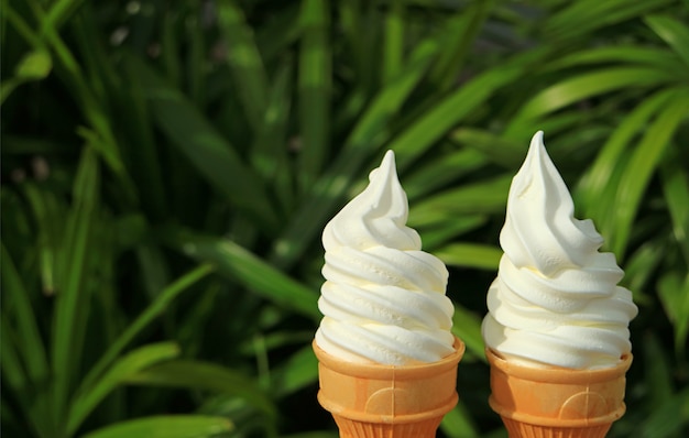 Pair of pure white milk soft serve ice cream cones in the sunlight with green foliage 