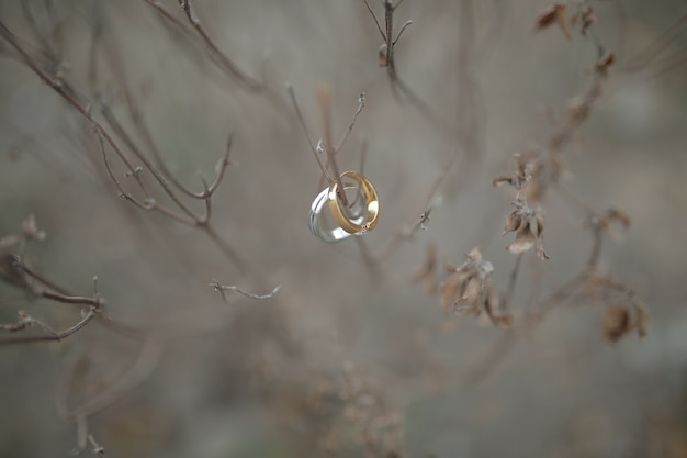 A Pair of Rings