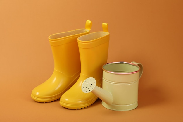 Pair of rubber boots and watering can