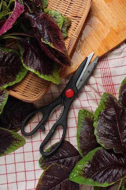 Photo a pair of scissors with a red handle sits on a table next to a basket of lettuce.