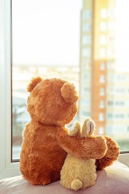 Pair of toys. Bunny and teddy bear Embracing loving teddy bear toy and bunny sitting on window sill