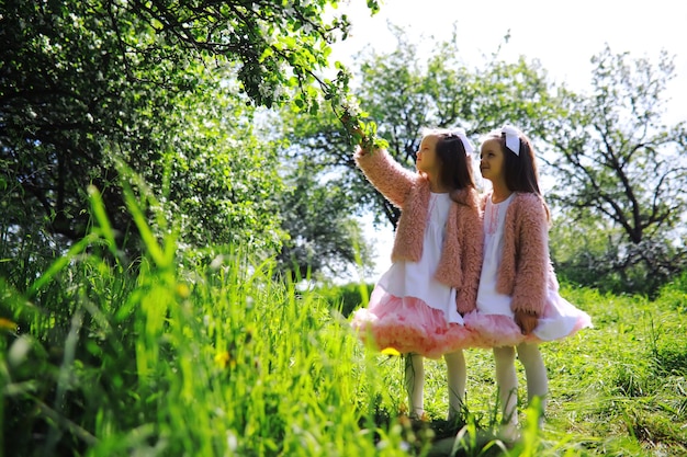 A pair of twin girls are walking in an apple orchard Children walk in the park