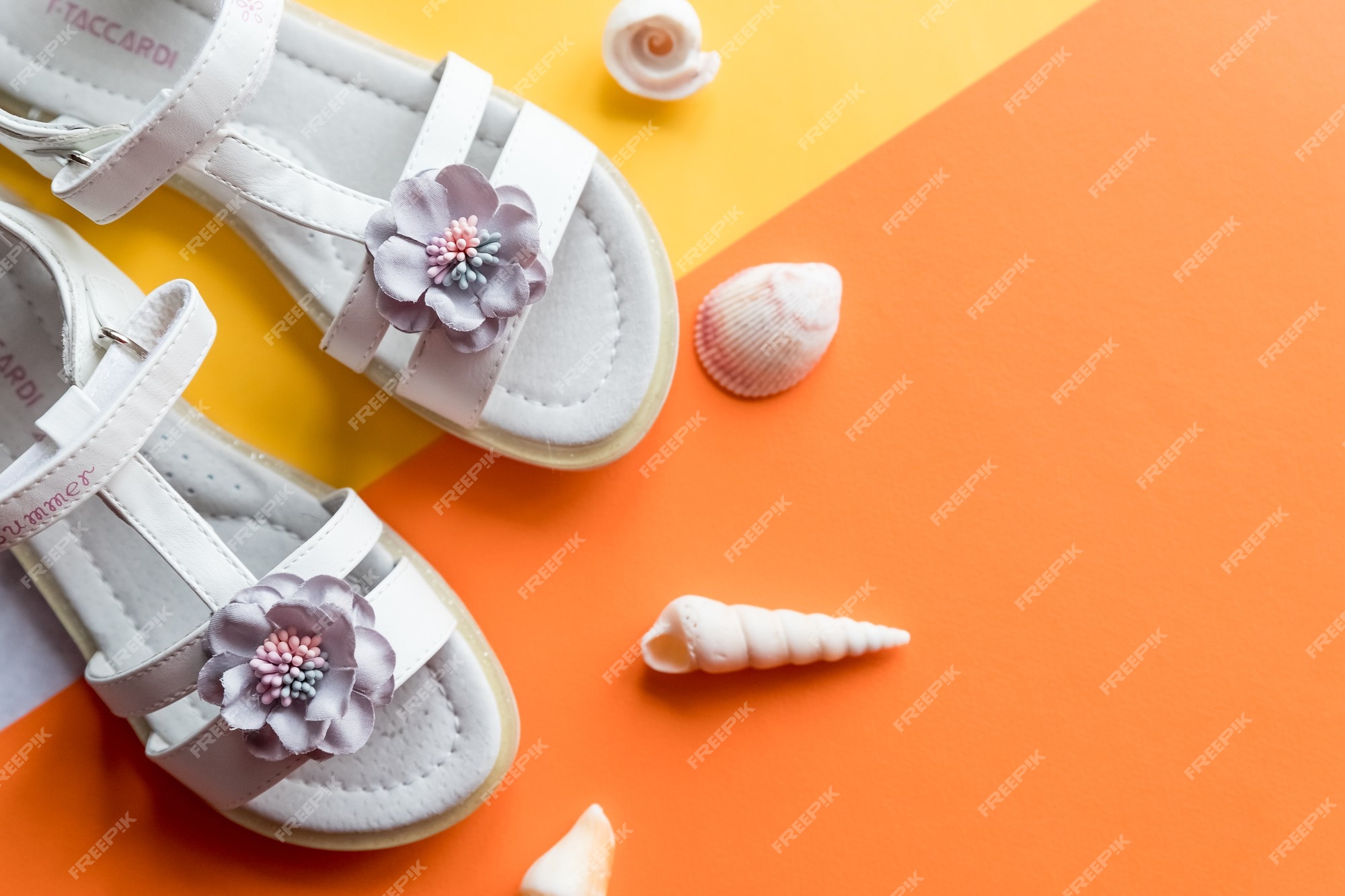 Premium Photo | Pair of white baby sandals on color background top   leather girls sandals and seashells