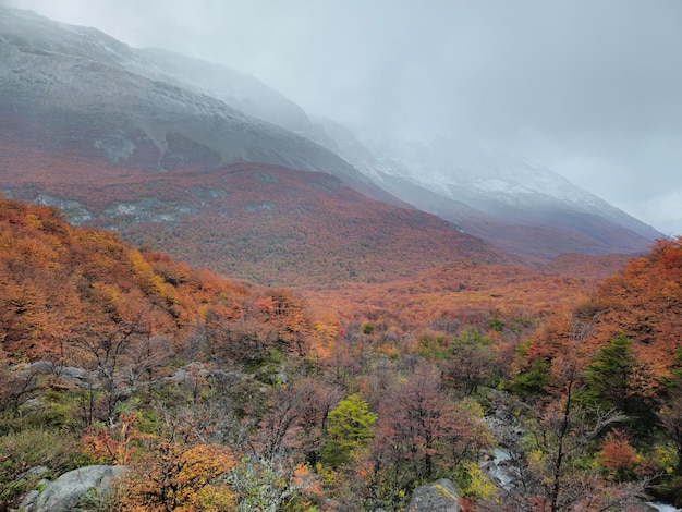 Foto paisaje con bosques y montanas de argentina