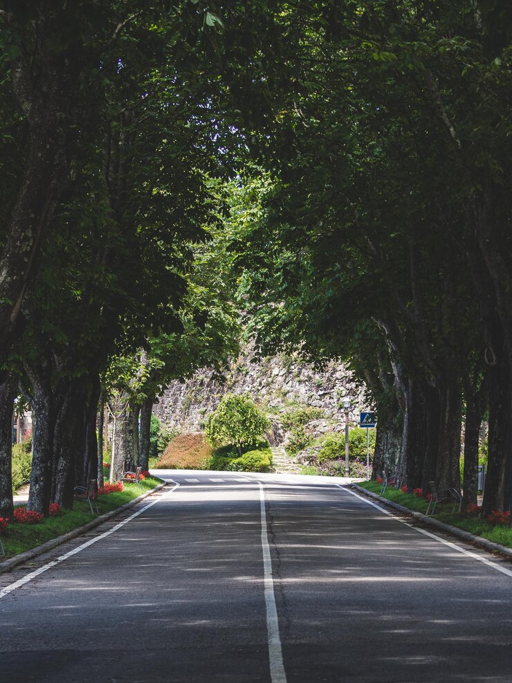 Paisaje urbano de la ciudad de Vigo.
