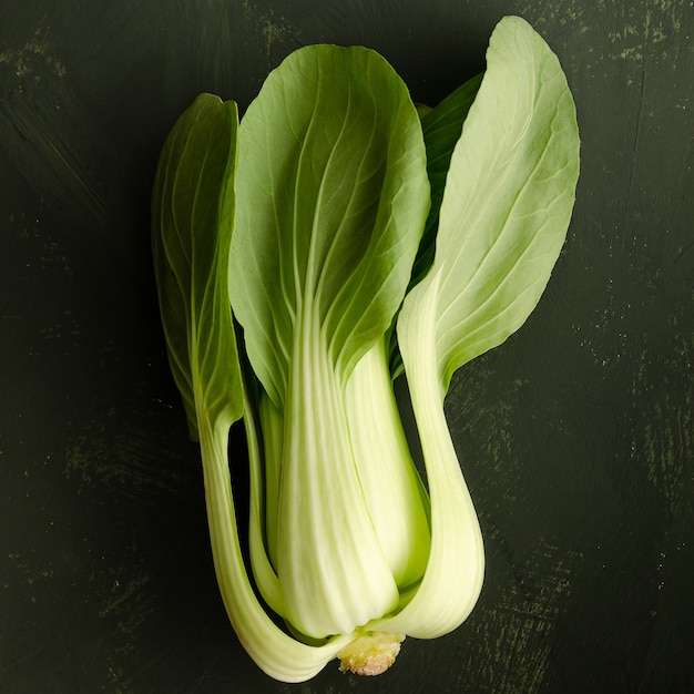 Pak choi plant on a green backdrop