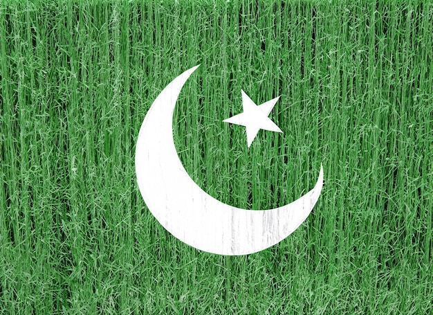 Photo pakistan flag metal vintage retro scratched steel background