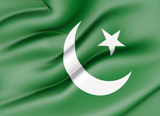 Pakistani flags