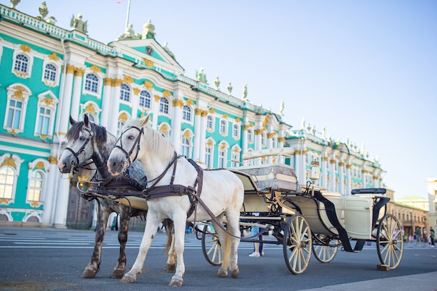 ロシアのサンクトペテルブルクの宮殿広場