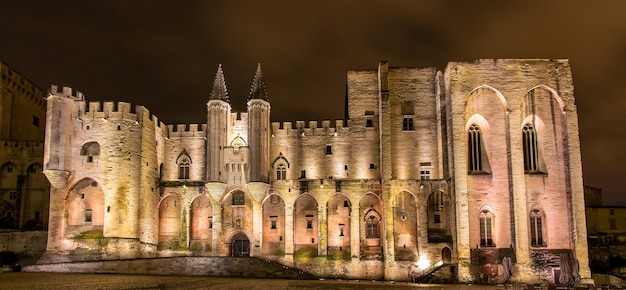 Palais des papes in avignon