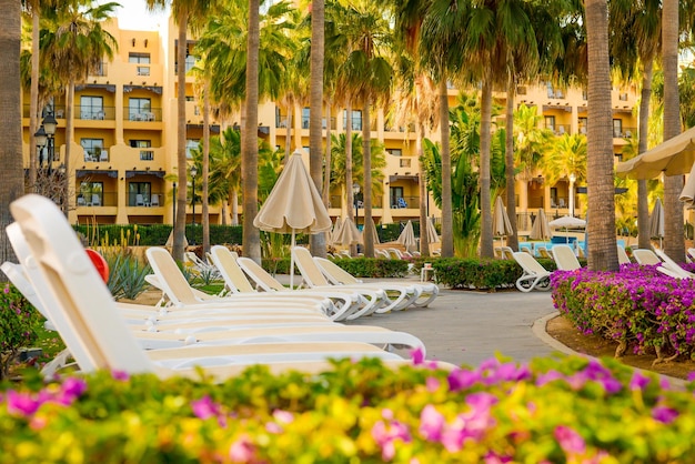 Palapas and lounge chairs in the common area of the hotel