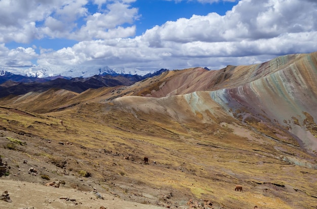 Palcoyo-regenboogbergen, in Cusco, Peru. Kleurrijk landschap in de Andes