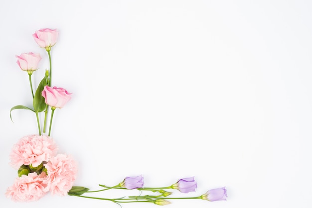 Photo pale flowers framing corner