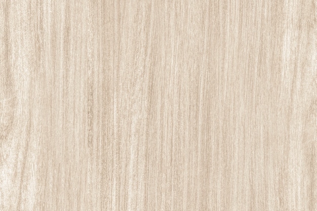 Photo pale oak wood texture design background