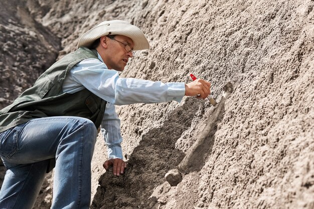 Foto il paleontologo estrae l'osso fossile da una roccia pulendolo con un pennello