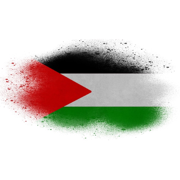 Photo palestine brush flag