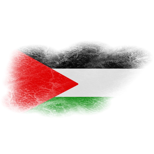 Photo palestine brush flag