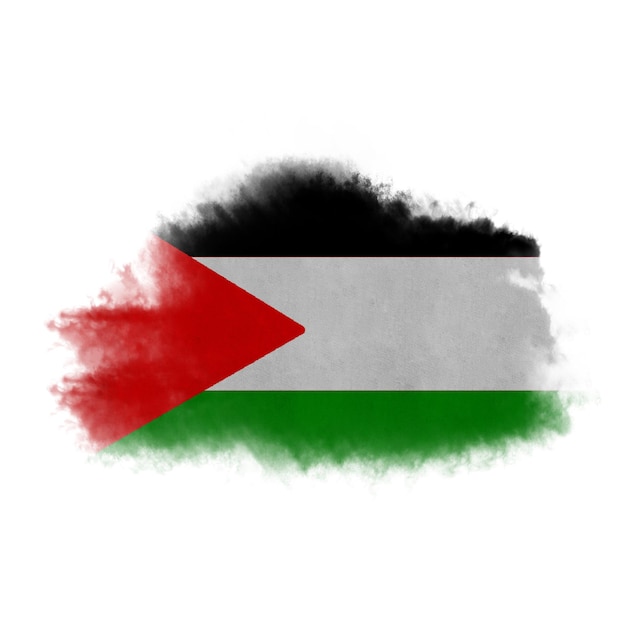 Photo palestine brush flag