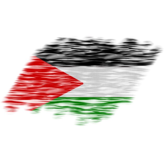 Palestine Brush Flag