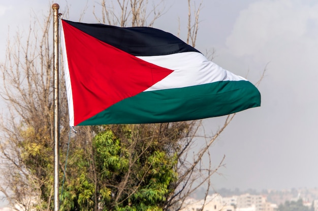 Palestine Flag on the top of building in Palestine,