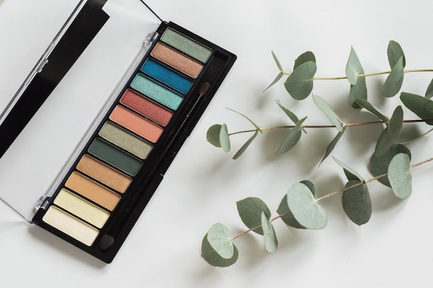 Palette multicolored eyeshadow with a sprig of eucalyptus