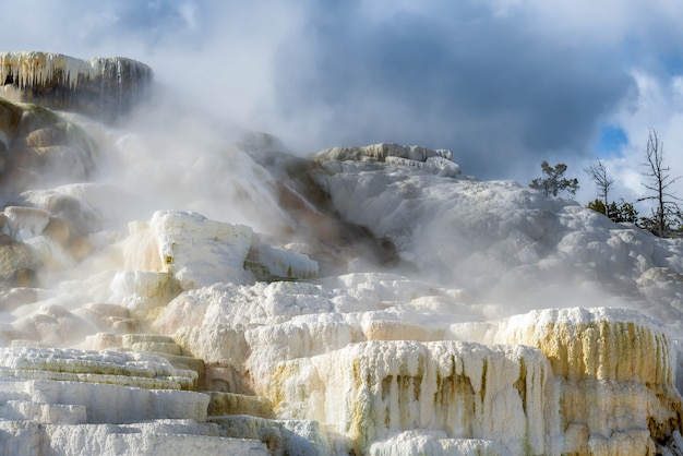 Photo palette spring in yellowstone national park