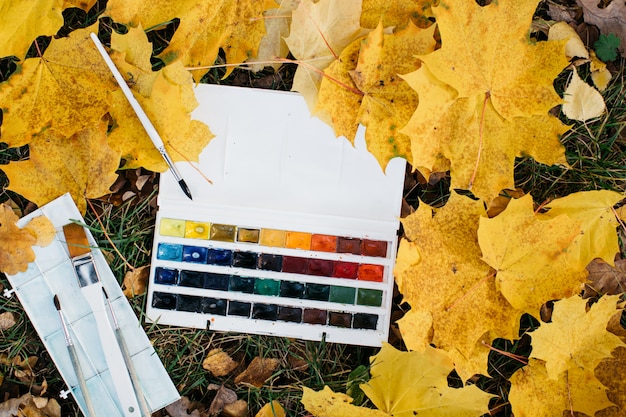 Foto tavolozza con colori sulle foglie