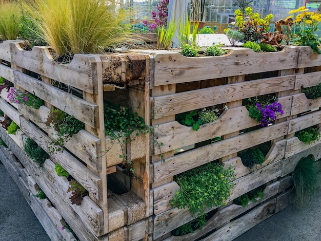 Pallet garden beds with flowers and herbs in the greenhouse