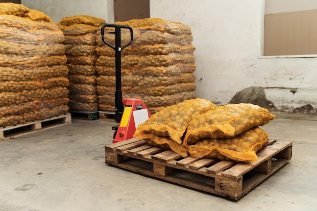 pallettruck geladen met aardappelen in magazijn. magazijnmedewerker laadt aardappelen. een grote boerderij waar