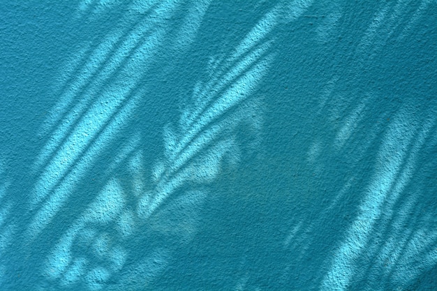 Palm coconut leaf shadow on blue cement wall