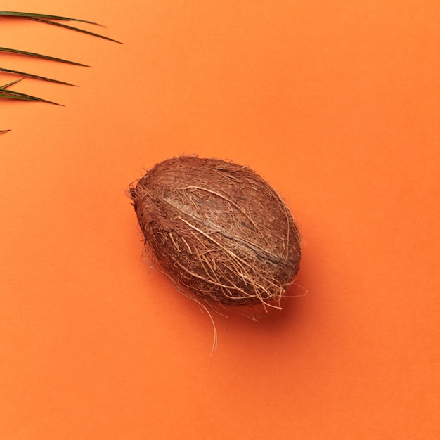 Palm green leaf and whole organic coconut on an orange background with space for text. Flat lay