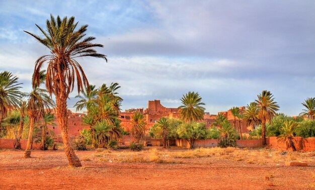 Photo palm grove near the old town of ouarzazate morocco