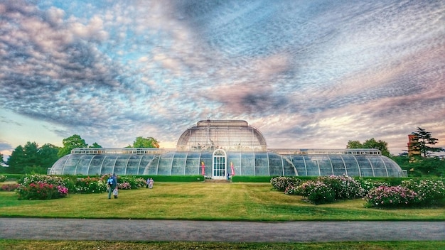 palm house against cloudy sky