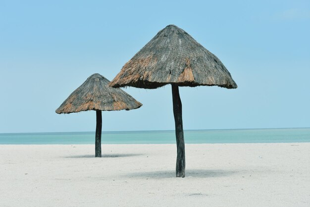 Palm hut on beach against clear sky