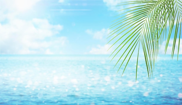 Palm leaf on sea background