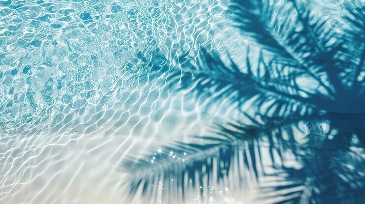 Photo palm leaf shadow on abstract transparent blue water waves