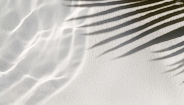 Photo palm leaf shadow on abstract white sand beach with sunlight in transparent water background photo