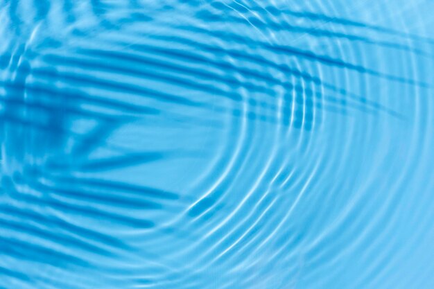 Фото Падение тени пальмового листа на синем фоне воды вид сверху на плоскую планировку