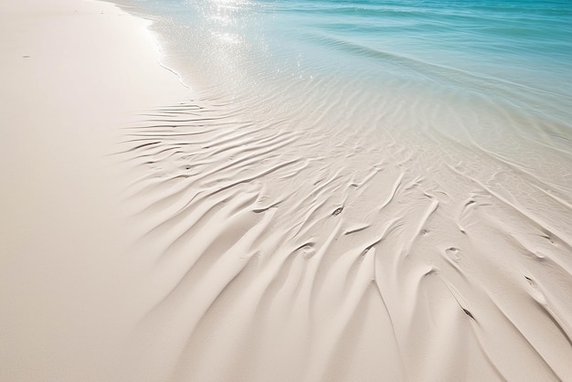 Фото Палмовые листья тень на абстрактном белом песке пляж фона солнечных огней на поверхности воды красивый абстрактный фон концепция баннер для летнего отдыха на пляже