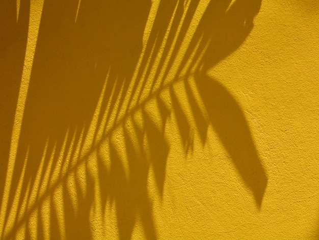 Palm leaf shadow on yellow wall