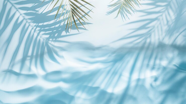 Photo 浅い青い背景のパームの葉の影