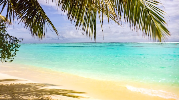 Palm leaf over white sand beach and turquoise sea, Maldives.