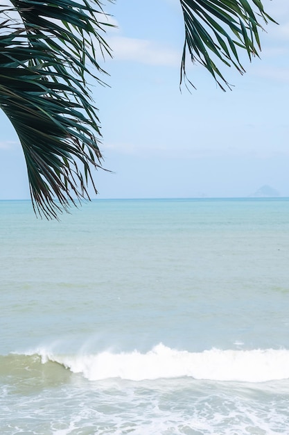 海景に対するヤシの葉