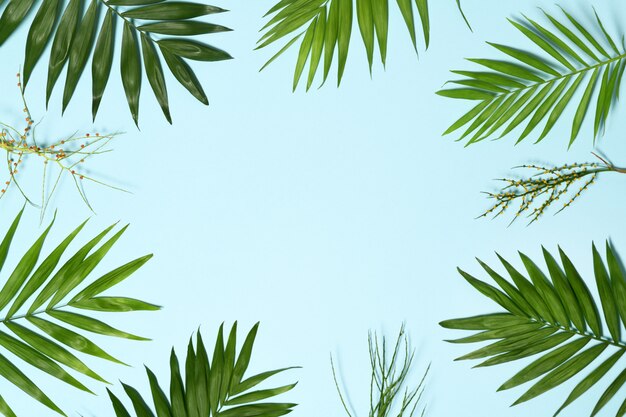 Palm leaves background