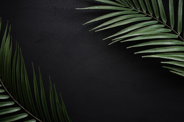 Palm leaves on a black matte slate.