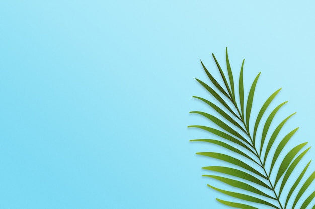 Palm leaves on blue background with copy space