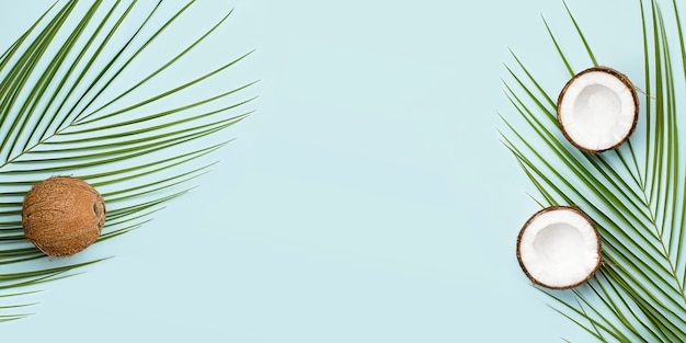 palm leaves and coconut on blue background