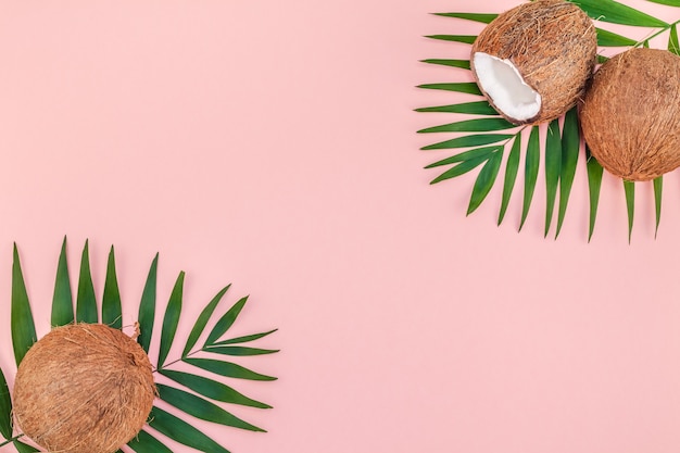 핑크 파스텔 테이블에 야자수 잎과 코코넛