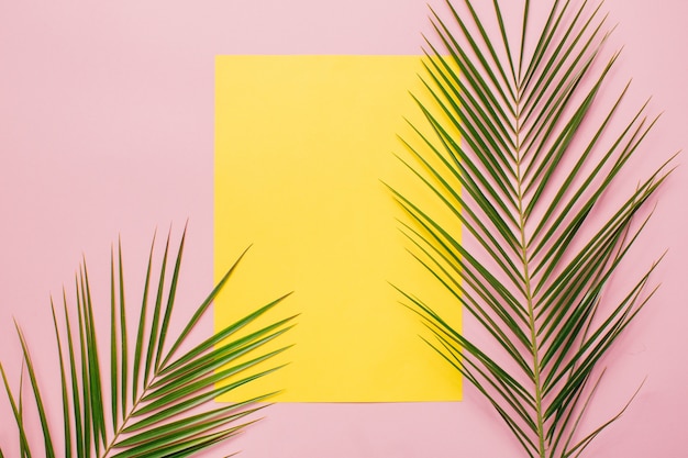 Palm leaves on a pink background with yellow card.